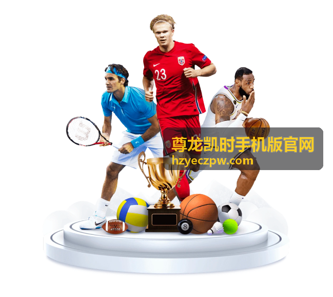 尊龙凯时手机版官网移动端说明页面视觉示意